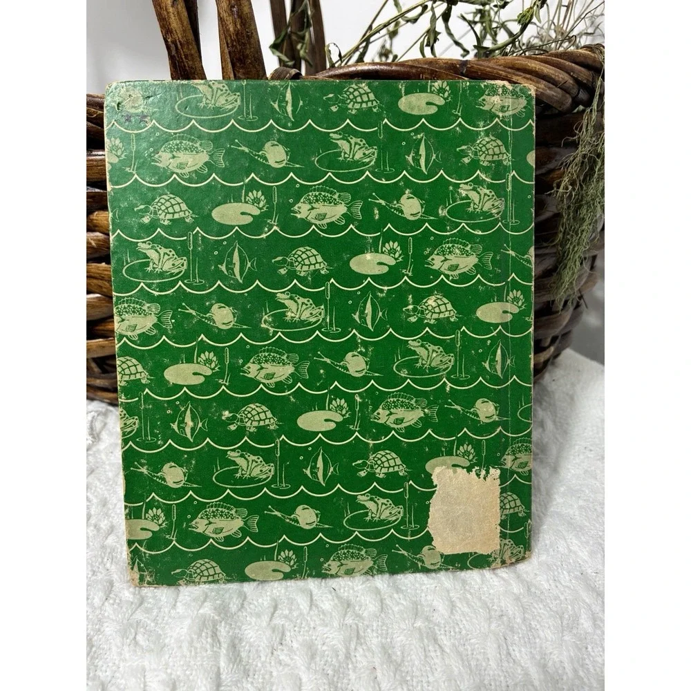 Little Sonny Sunfish Elizabeth Gale Vintage 1937 Children's Book Rand McNally